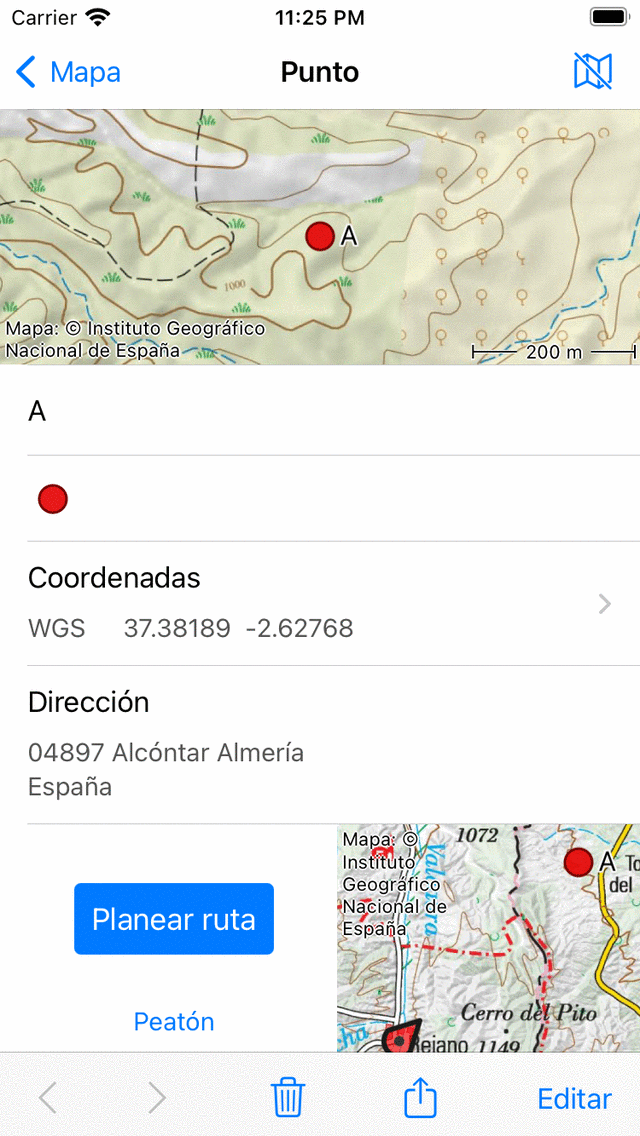 Detalles de puntos de referencia Topo GPS